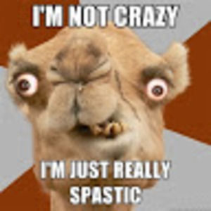 Meet your Posher, Shelly